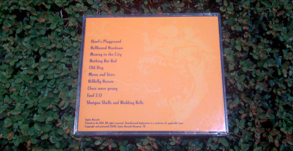 Dollyrockers CD Cover Back